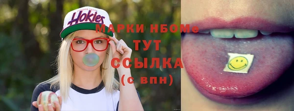хмурый Алзамай