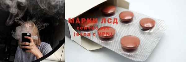 хмурый Алзамай