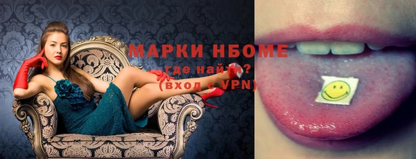 хмурый Алзамай